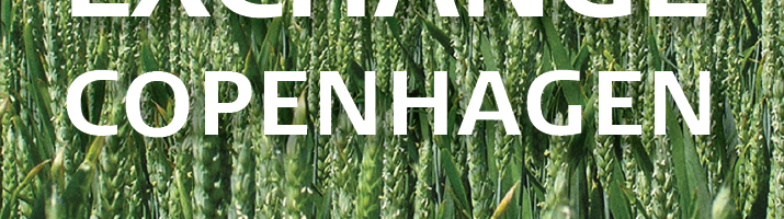 baltic grain 2017