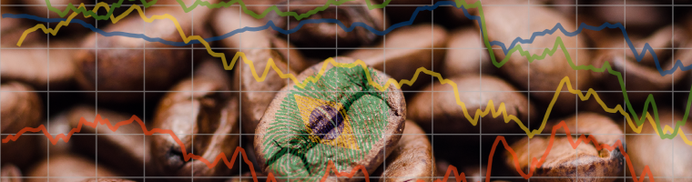 Coffee Price Volatility