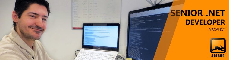 Senior .NET Developer - Job Vacancy