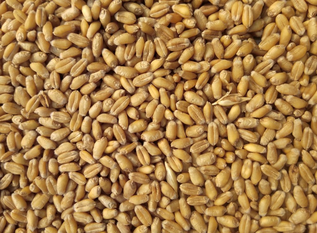 grain-bulk