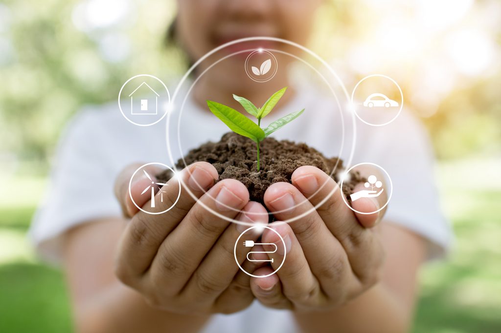 Sustainability plant in ground in hands