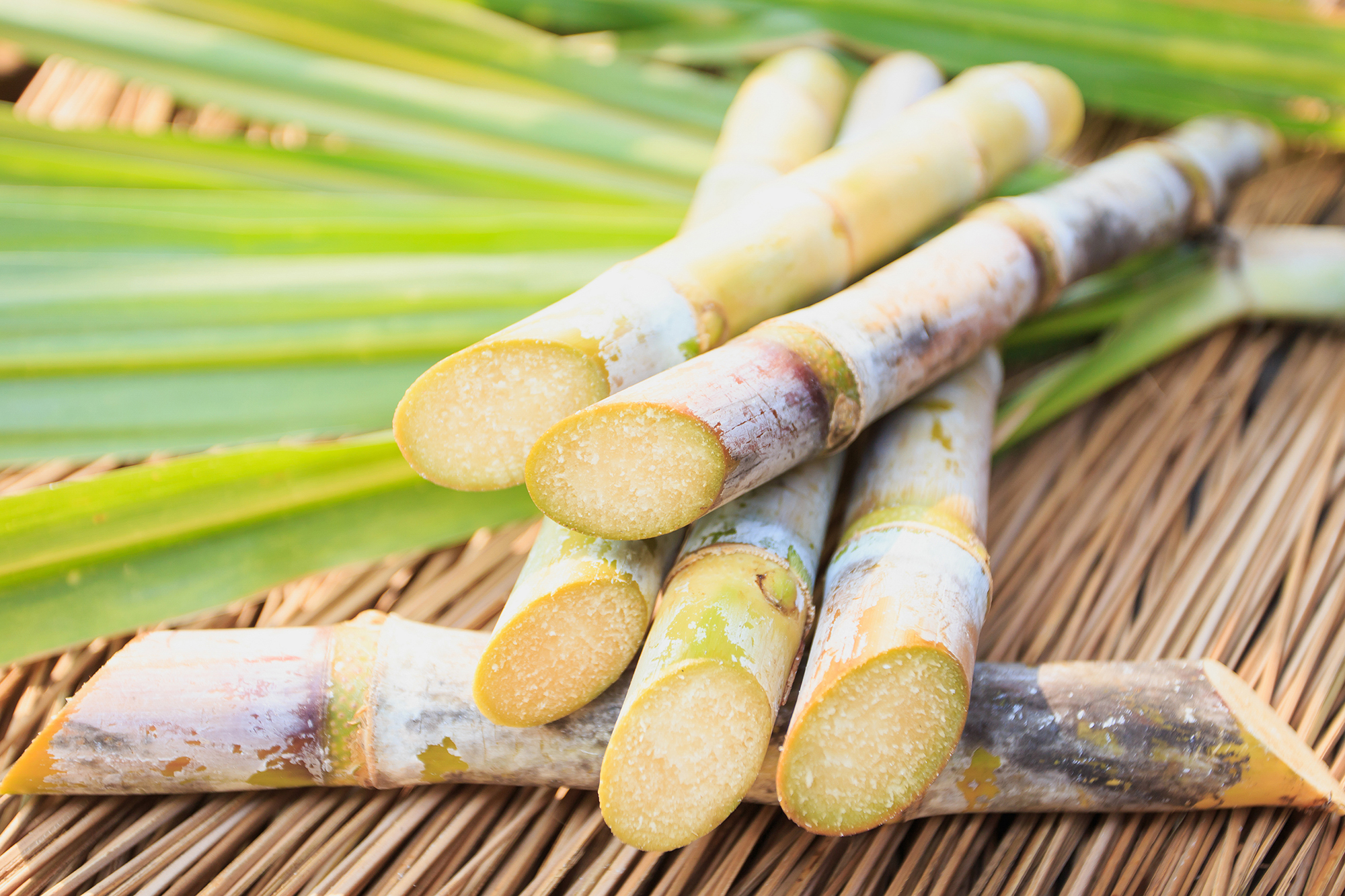 Close up Sugarcane witn leaf on wood table as a reference to European Sugar Conference