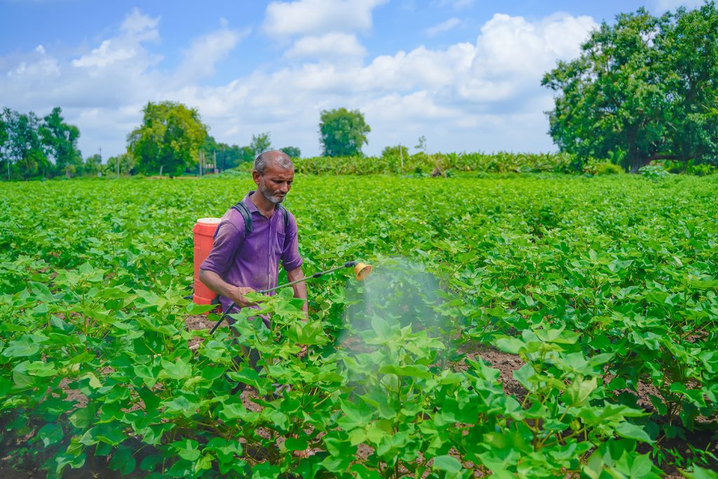 cotton-farmer