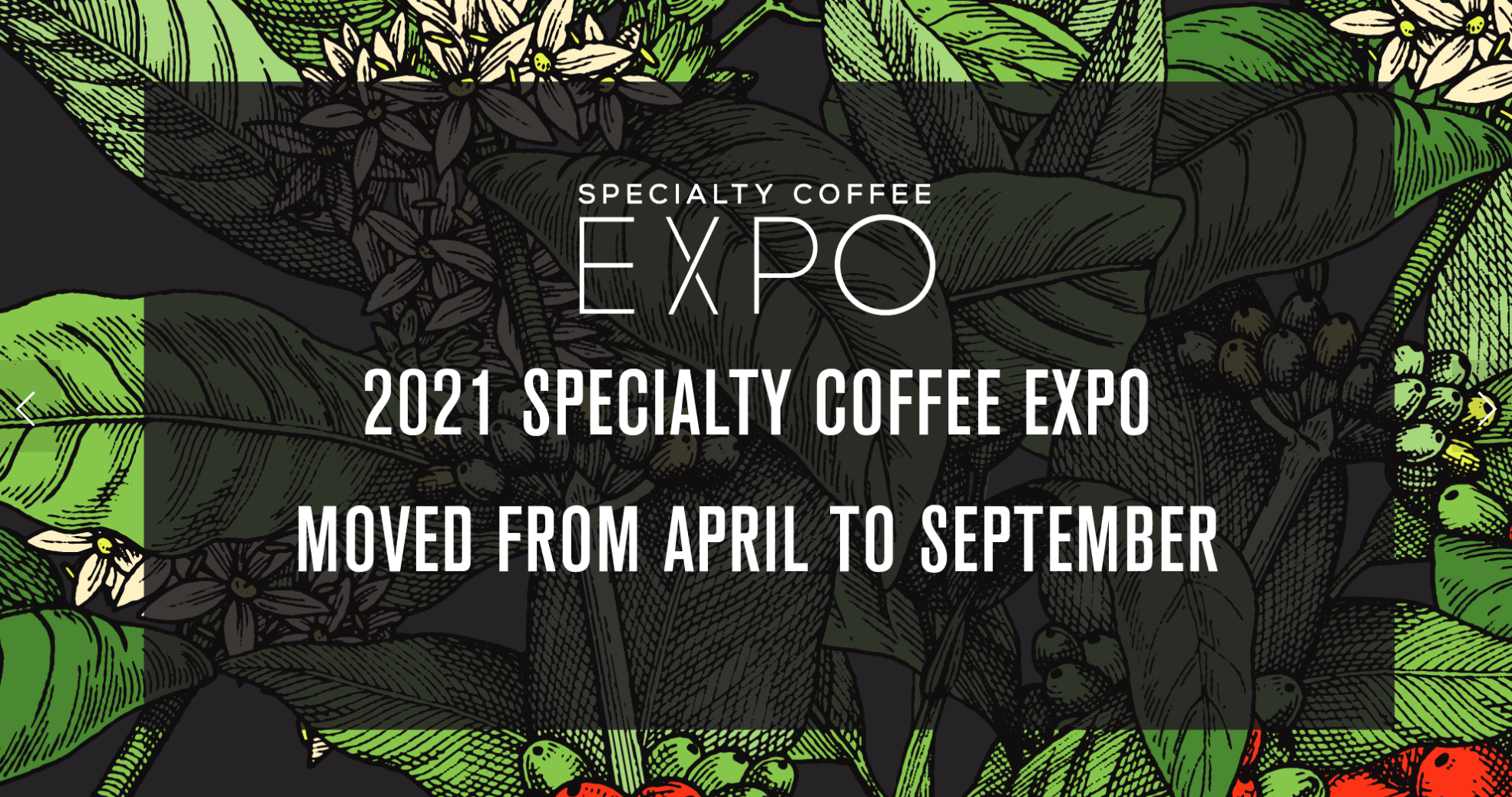 Specialty coffee expo