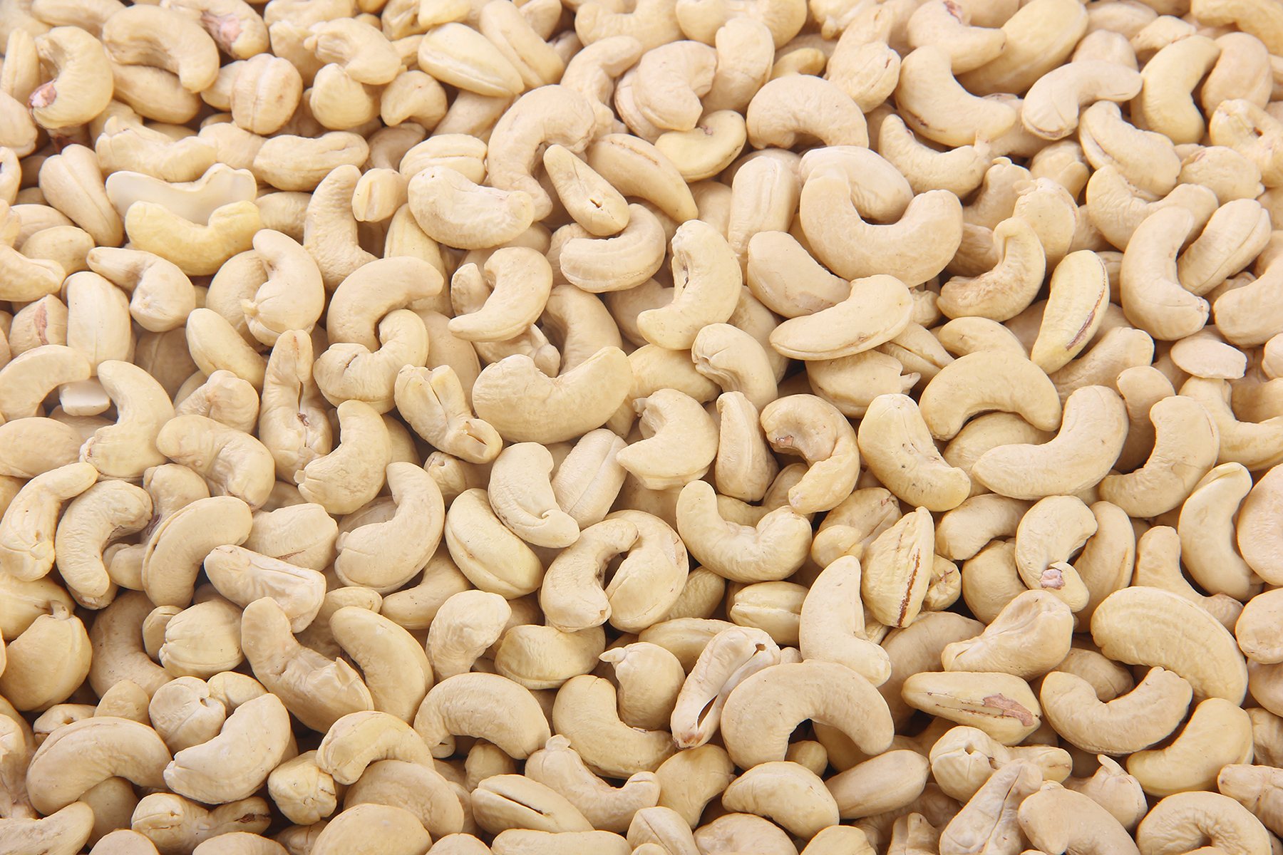 Cashew nut, also known as anacardium occidentale.- Agiboo