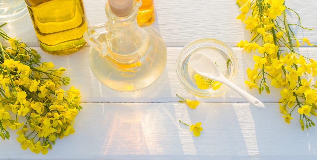 Canola oil flower