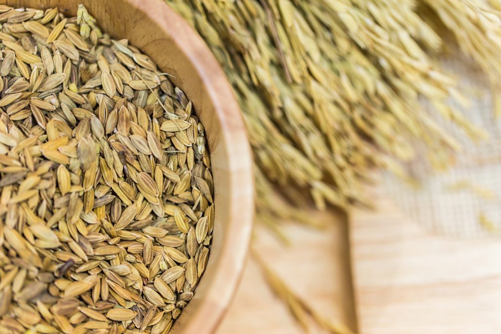 Global production of grains surpasses 2,5 billion tons