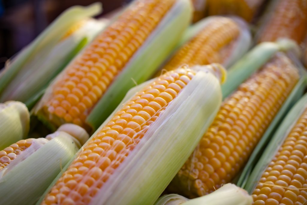 corn-corn-corn
