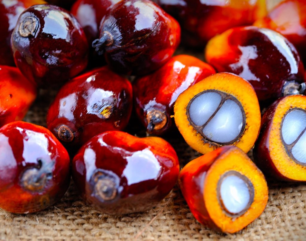 palm-oil