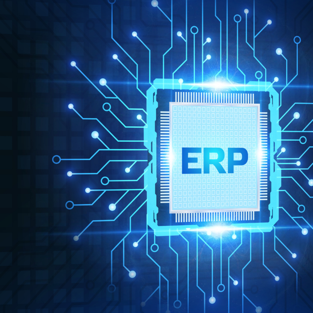 ERP-image