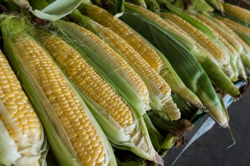 corn-waste-biofuels