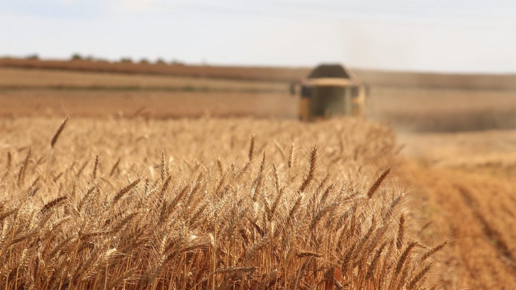 grains-with-tractor