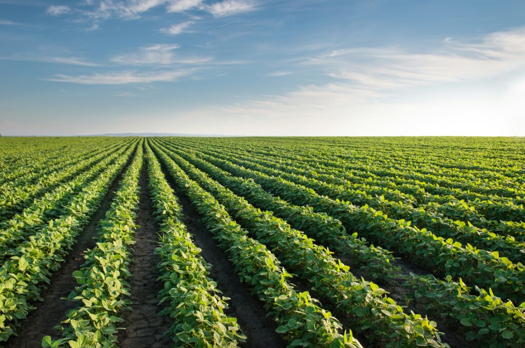 agricultural-ctrm